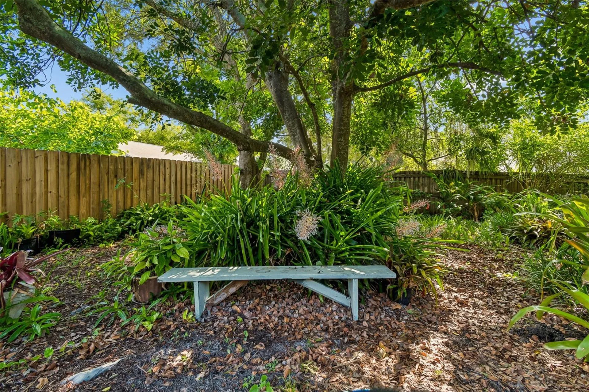 16509 Round Oak Drive Tampa FL 33618