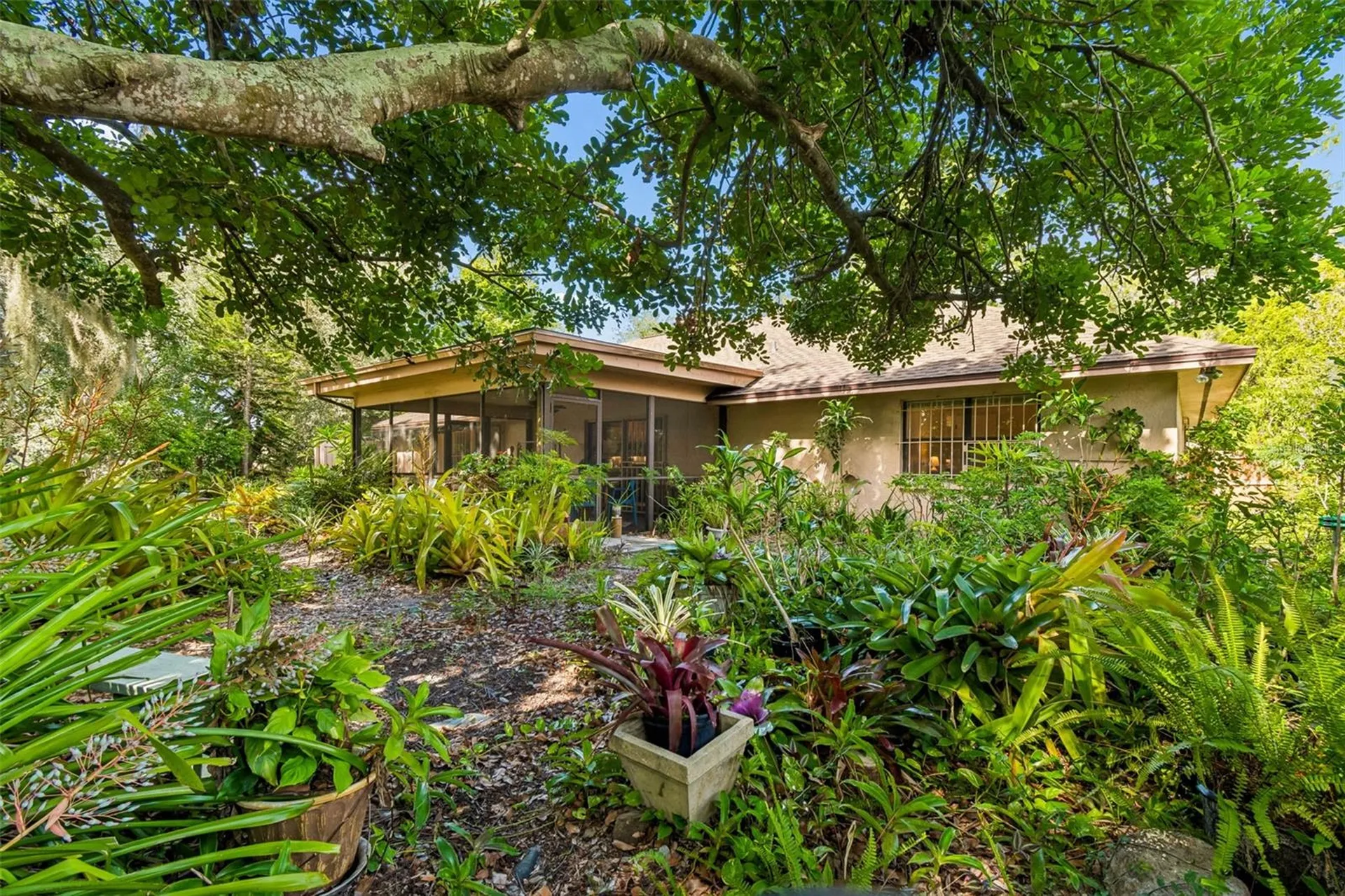 16509 Round Oak Drive Tampa FL 33618