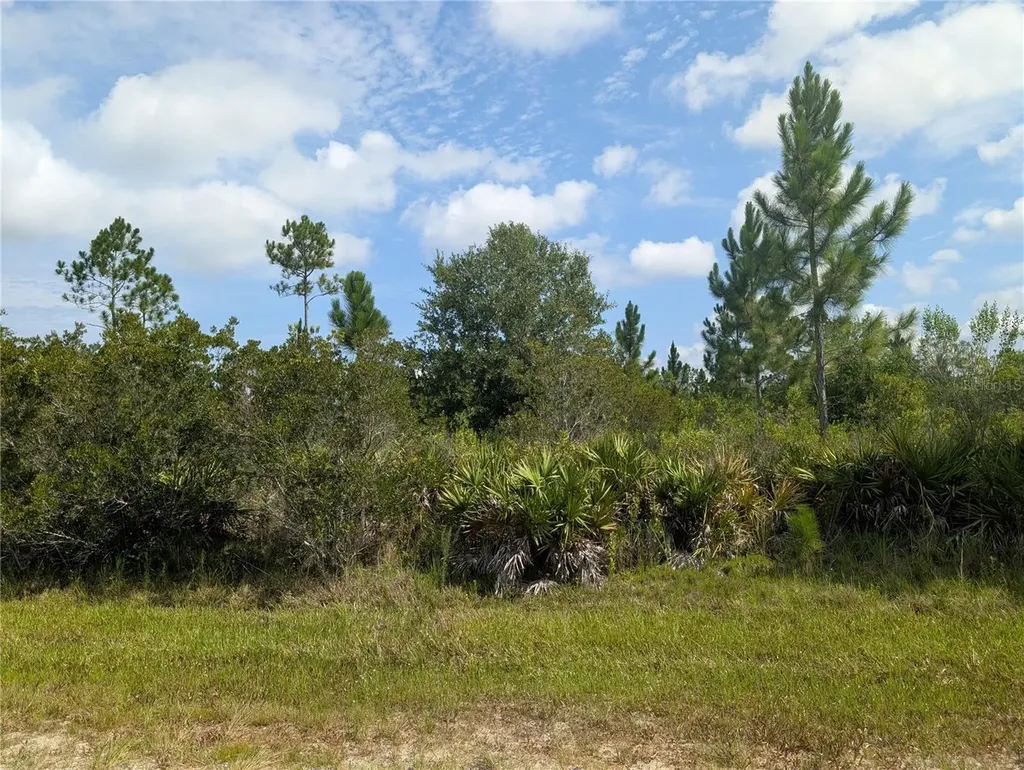 Indian Lake Estates FL 33855