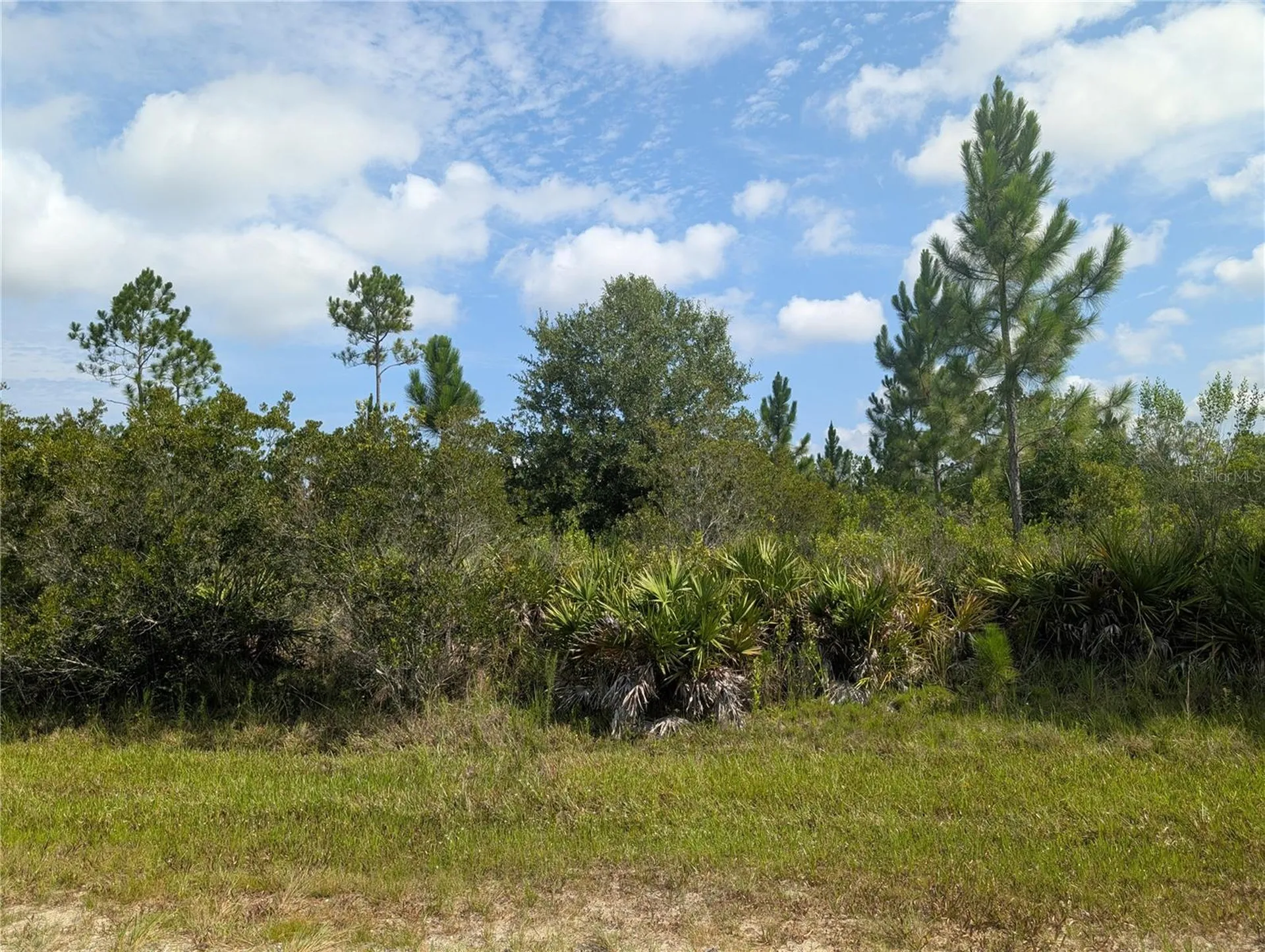 Indian Lake Estates FL 33855