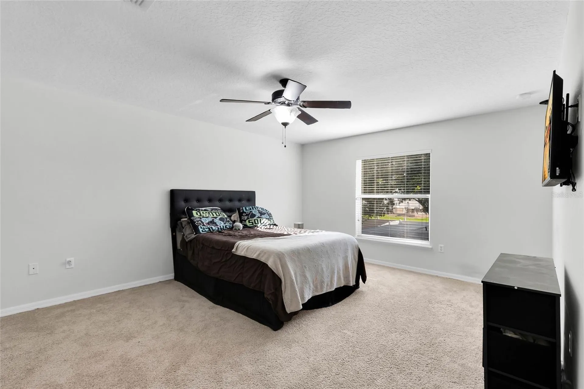 Fruitland Park FL 34731