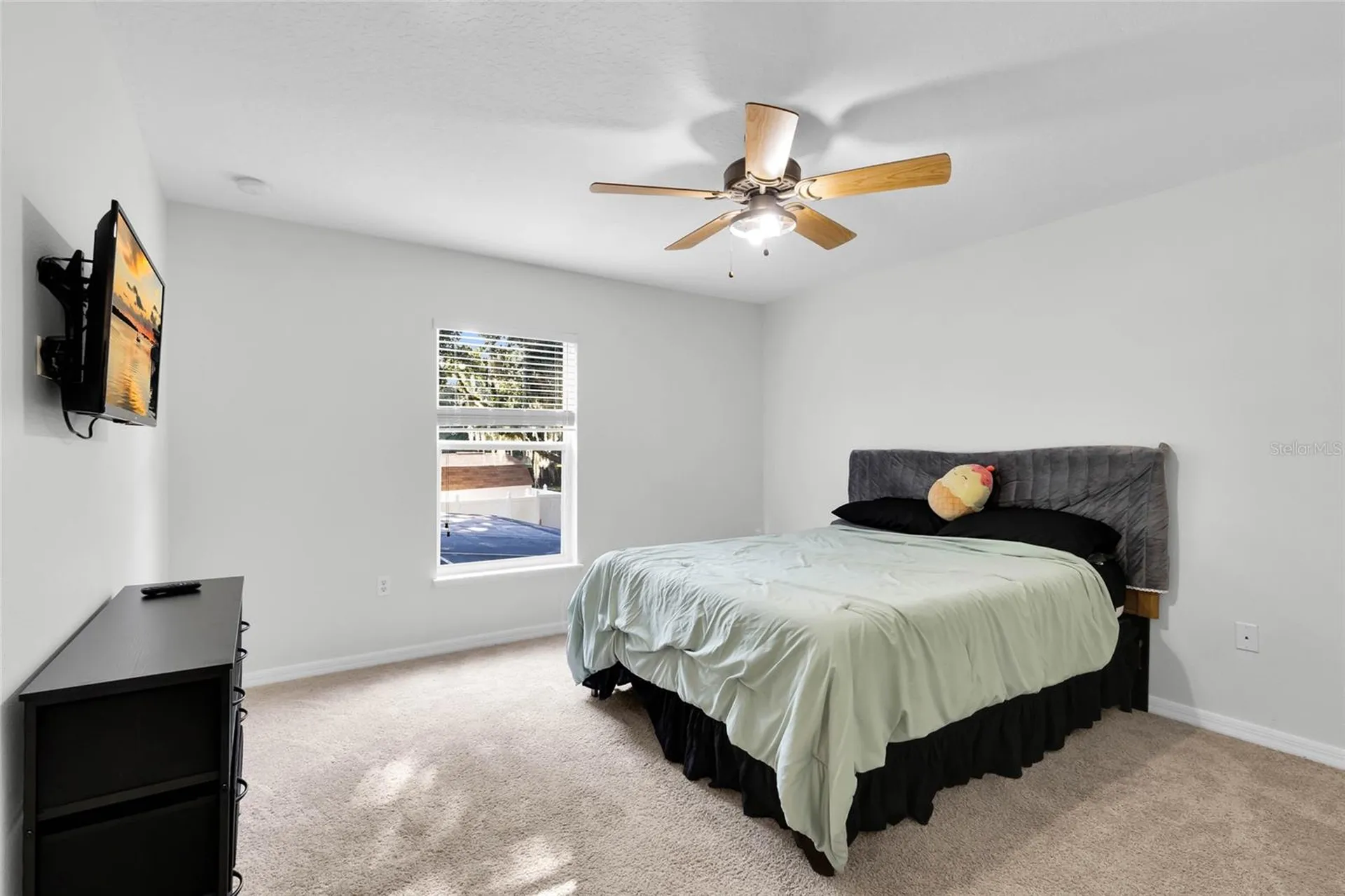 Fruitland Park FL 34731