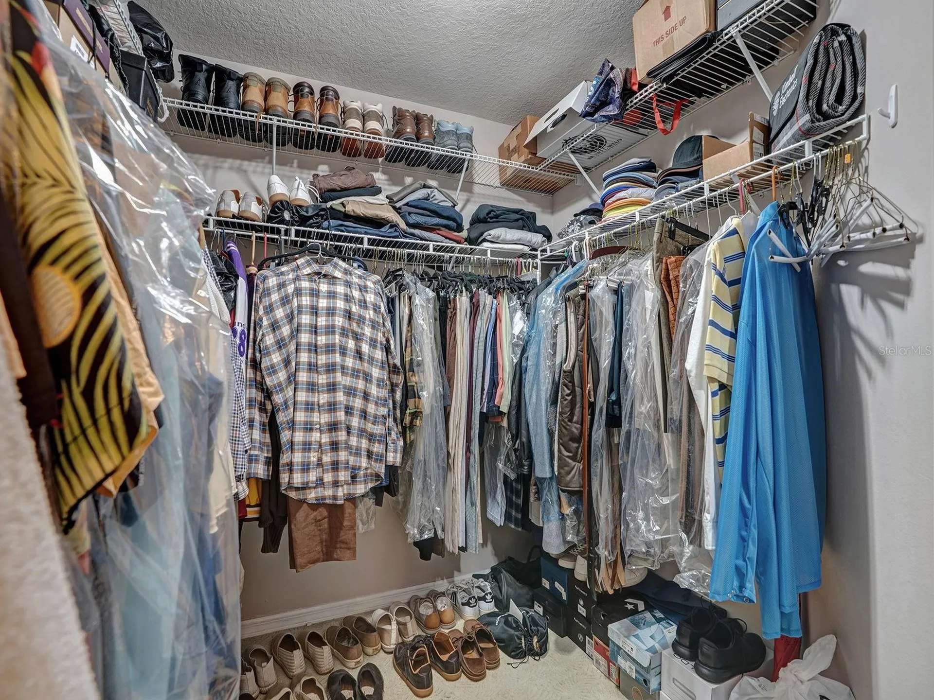 6310 Turtle Creek Boulevard Tampa FL 33625