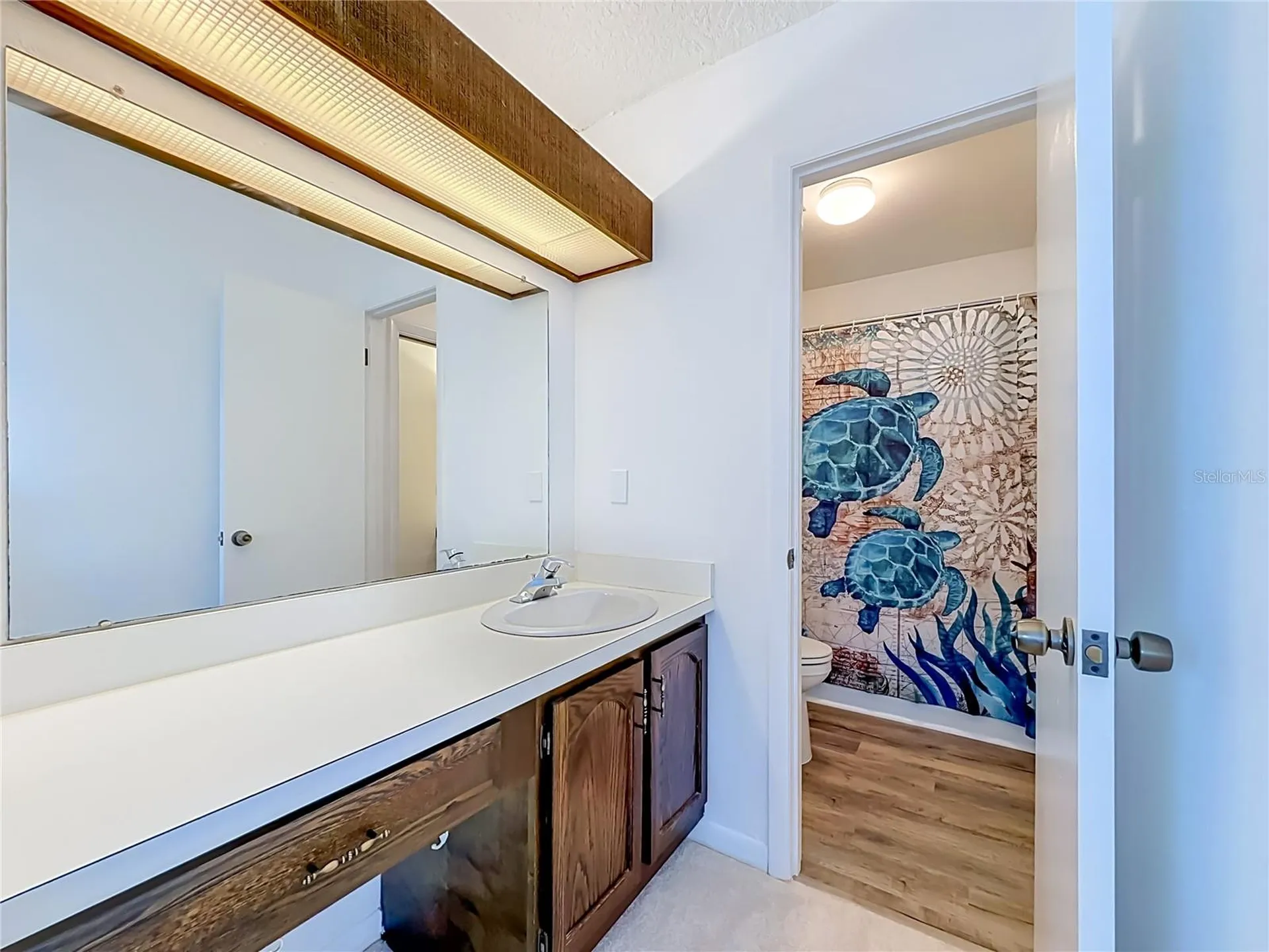 6537 Cape Hatteras Way NE St Petersburg FL 33702