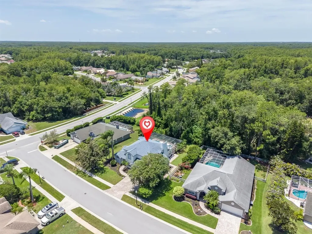 1625 Percheron Drive Trinity FL 34655