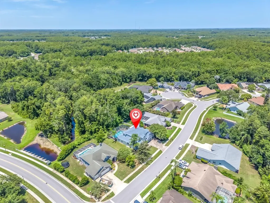 1625 Percheron Drive Trinity FL 34655