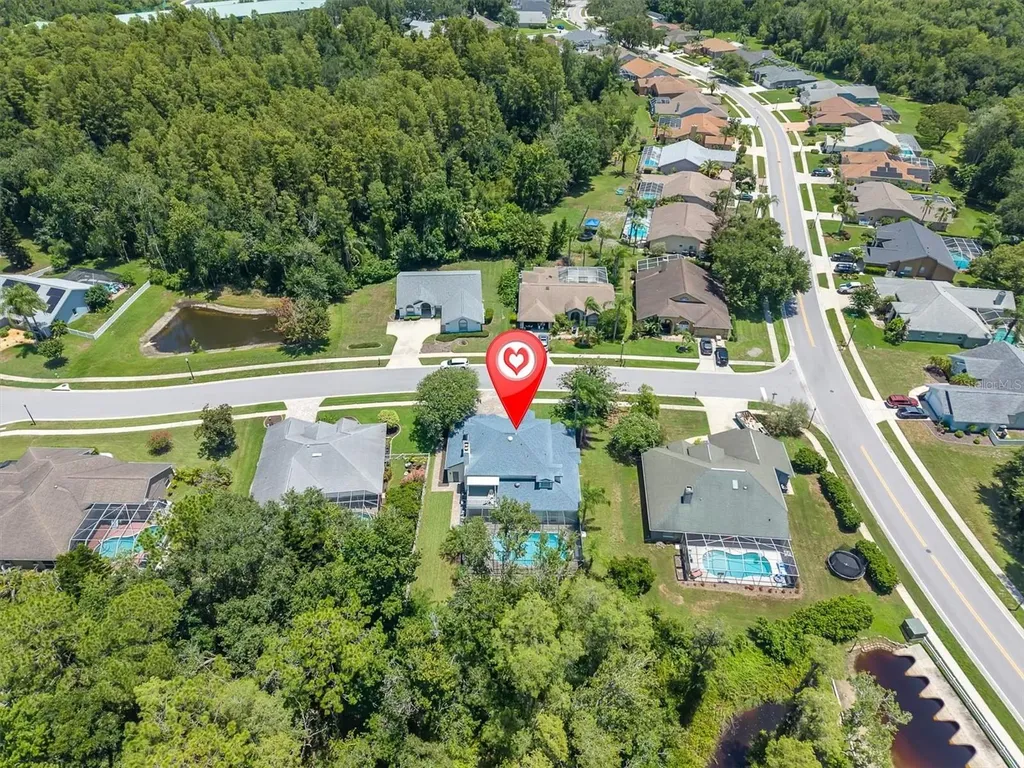1625 Percheron Drive Trinity FL 34655