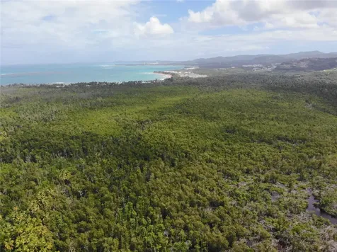 968 Camino Las Picuas Rio Grande PR 00745