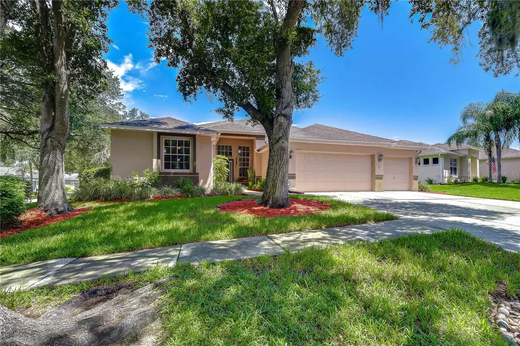 2202 Longmore Circle Valrico FL 33596