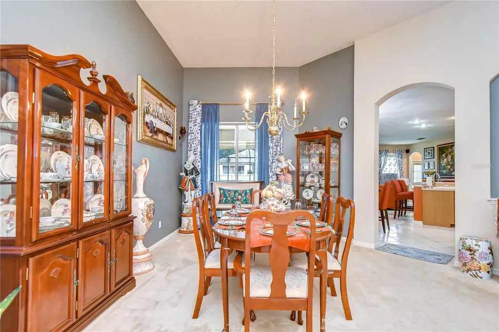 2202 Longmore Circle Valrico FL 33596
