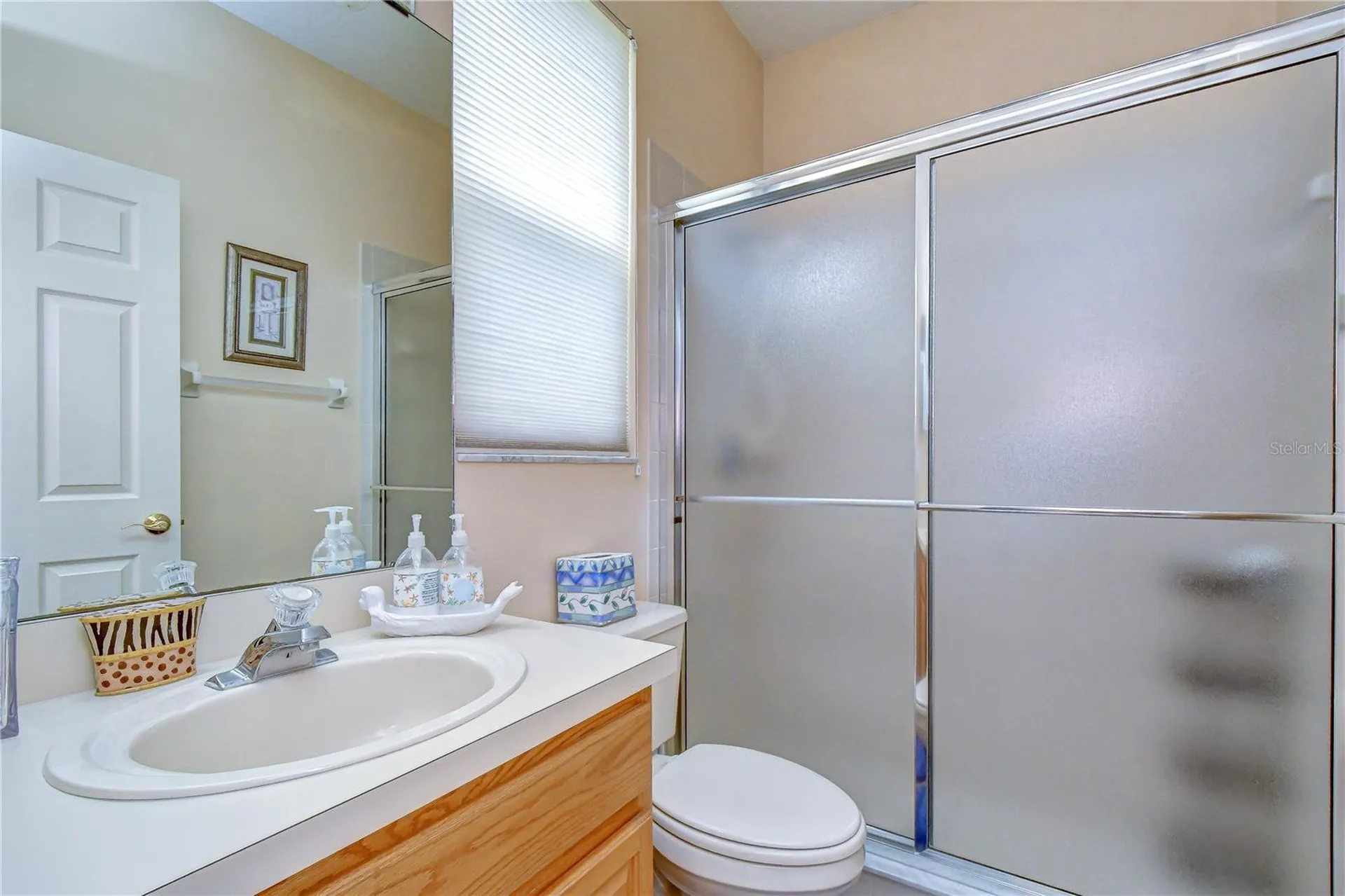 2202 Longmore Circle Valrico FL 33596