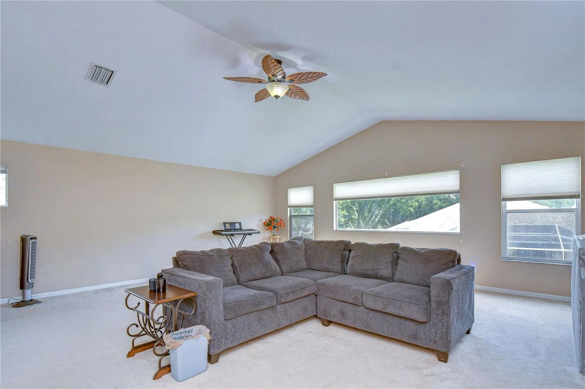 2202 Longmore Circle Valrico FL 33596