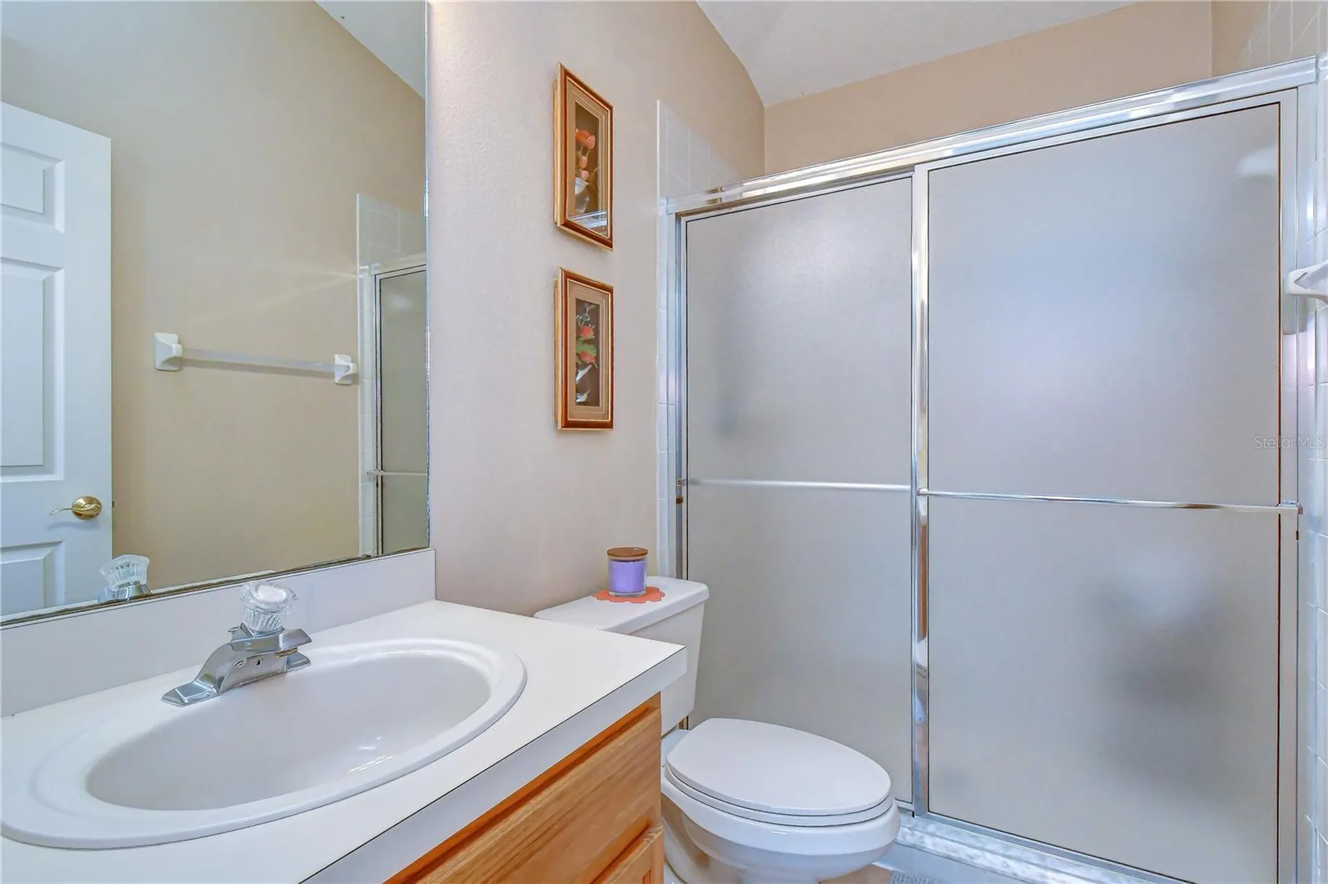 2202 Longmore Circle Valrico FL 33596