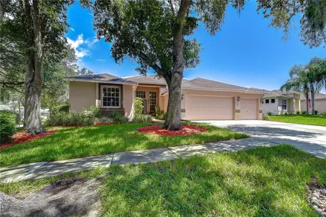 2202 Longmore Circle Valrico FL 33596