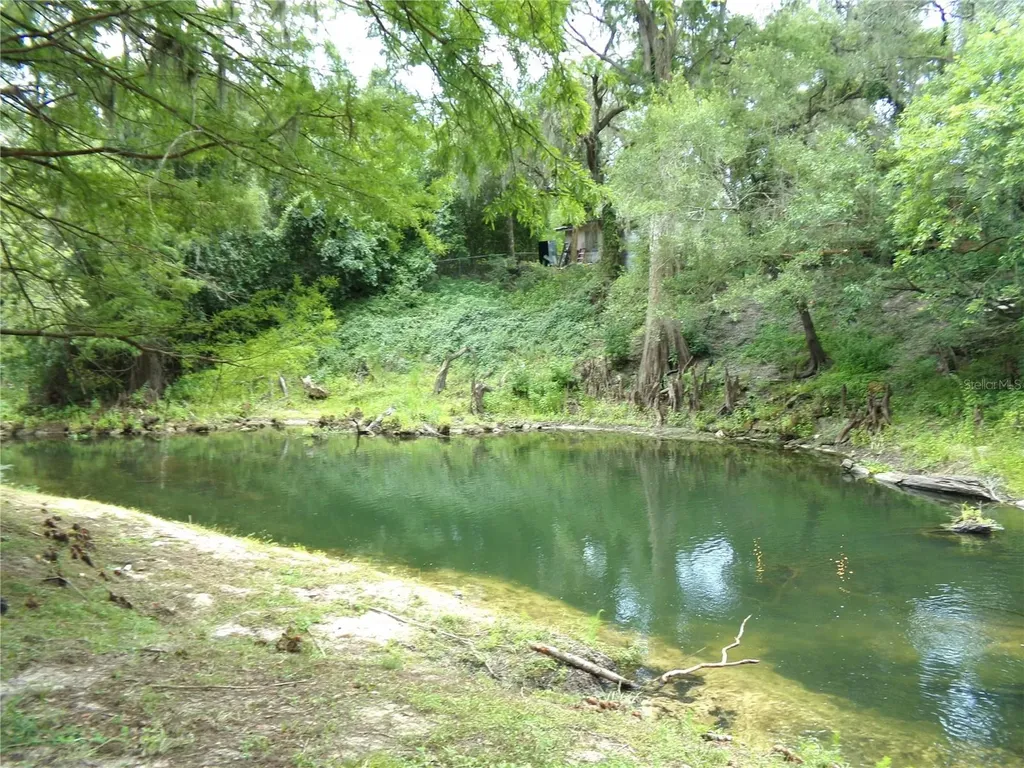 33068 Round Table Road Dade City FL 33523