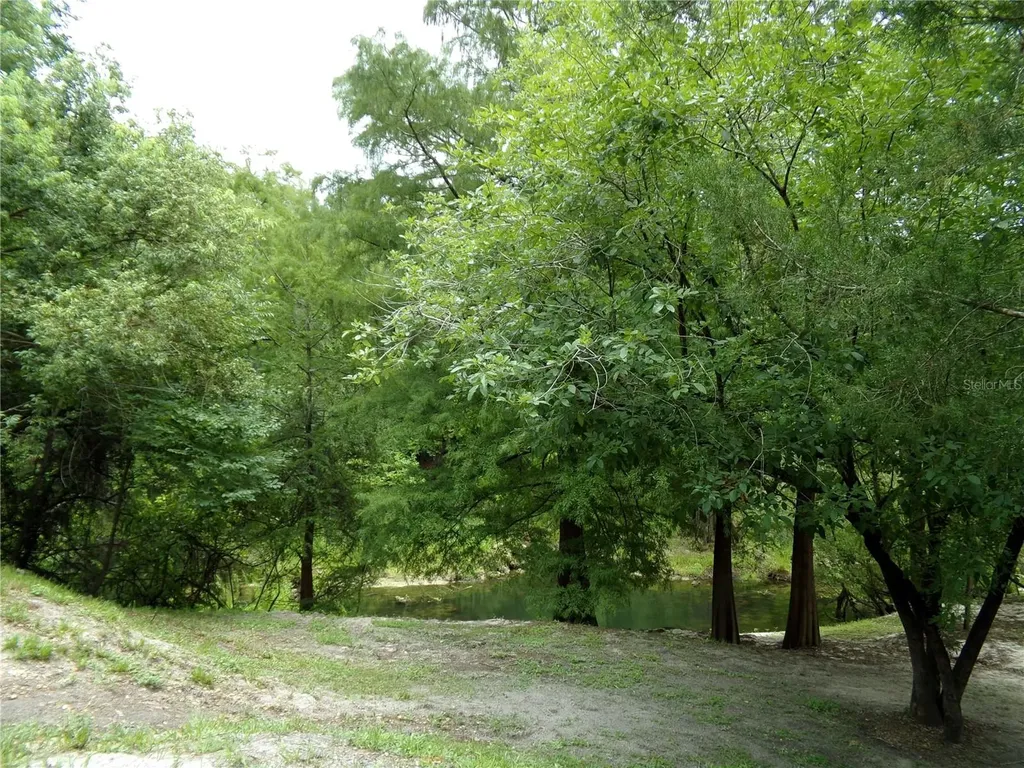 33068 Round Table Road Dade City FL 33523