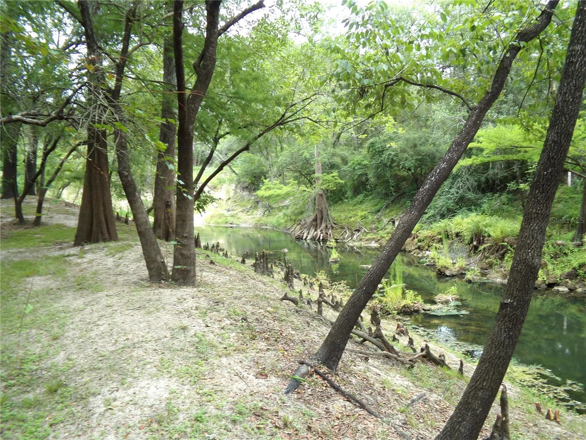 33068 Round Table Road Dade City FL 33523