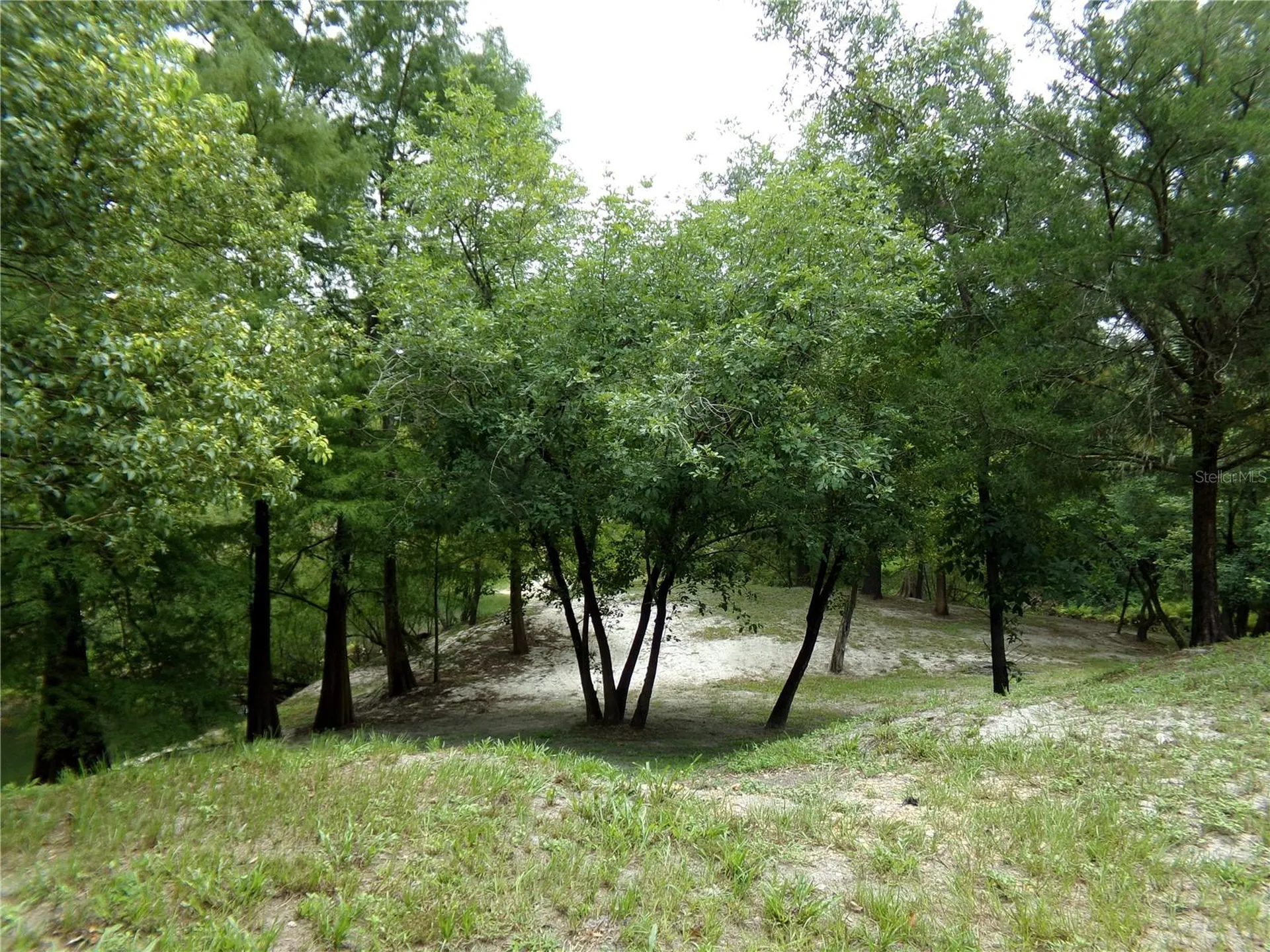 33068 Round Table Road Dade City FL 33523