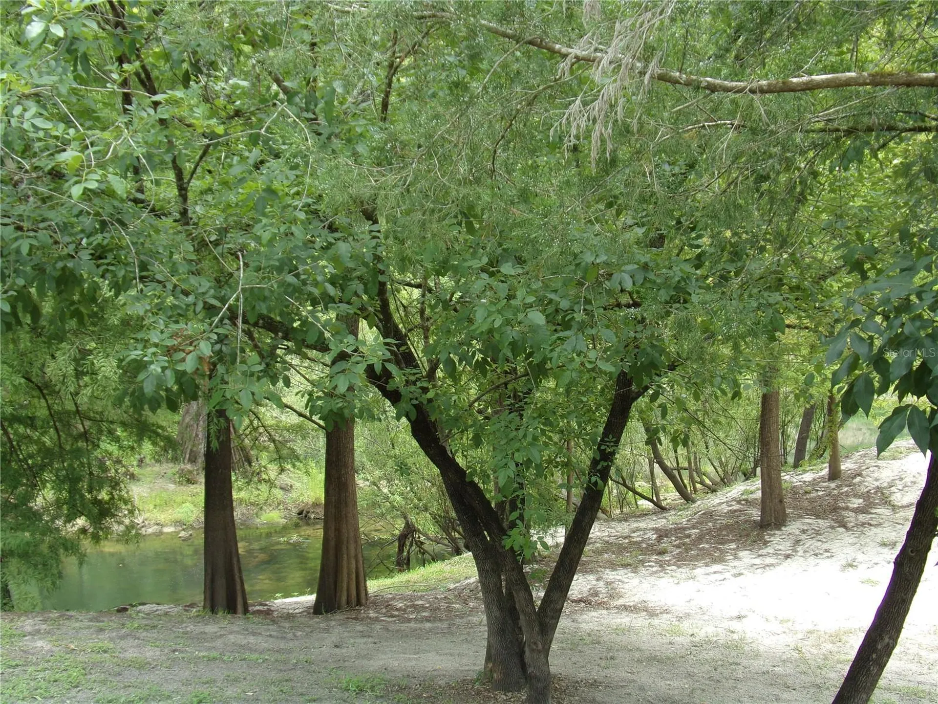 33068 Round Table Road Dade City FL 33523