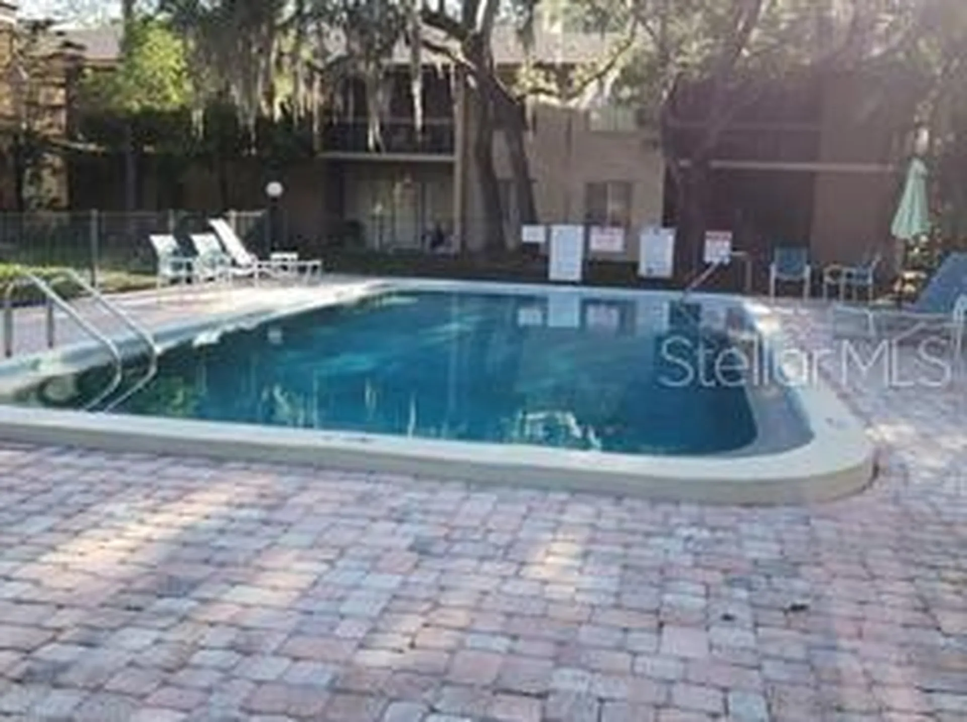 5507 Pokeweed Court Tampa FL 33617