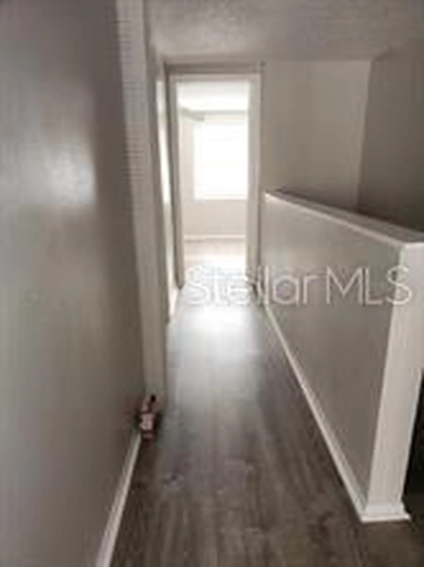 5507 Pokeweed Court Tampa FL 33617