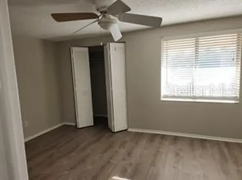 5507 Pokeweed Court Tampa FL 33617