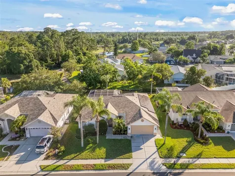 12213 Roseland Drive New Port Richey FL 34654