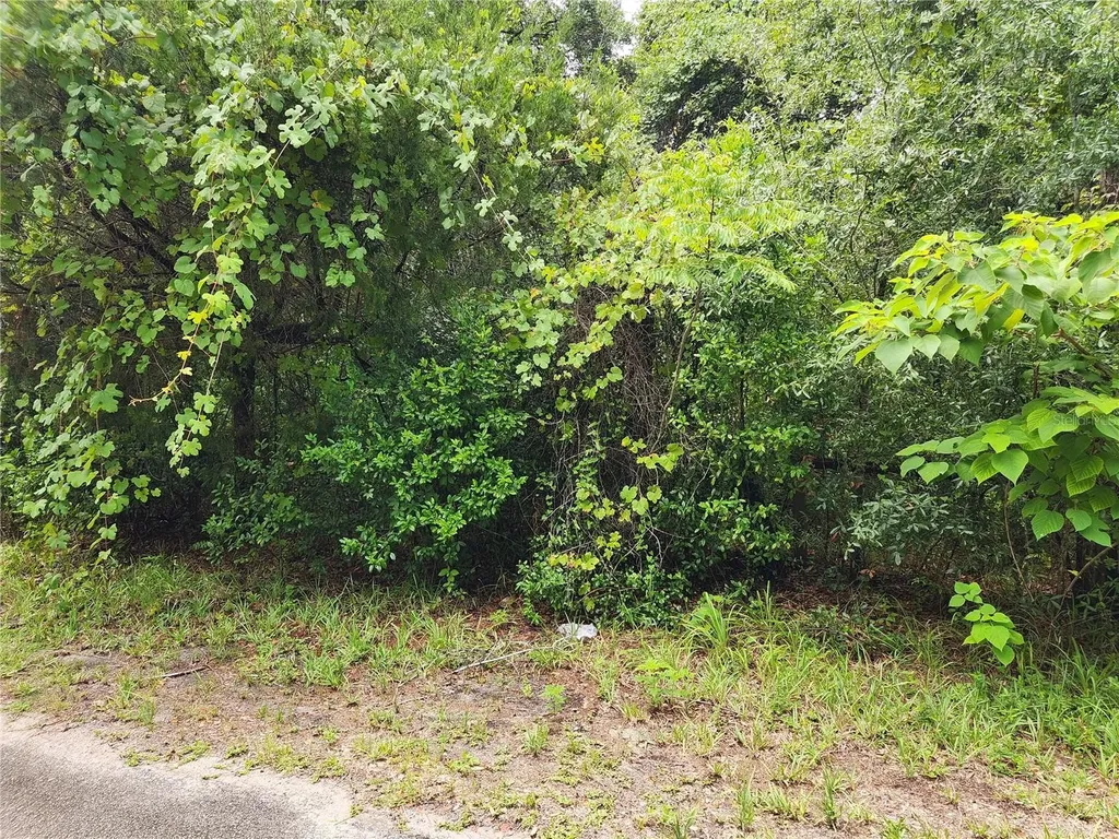 00 Oak Drive Hudson FL 34669
