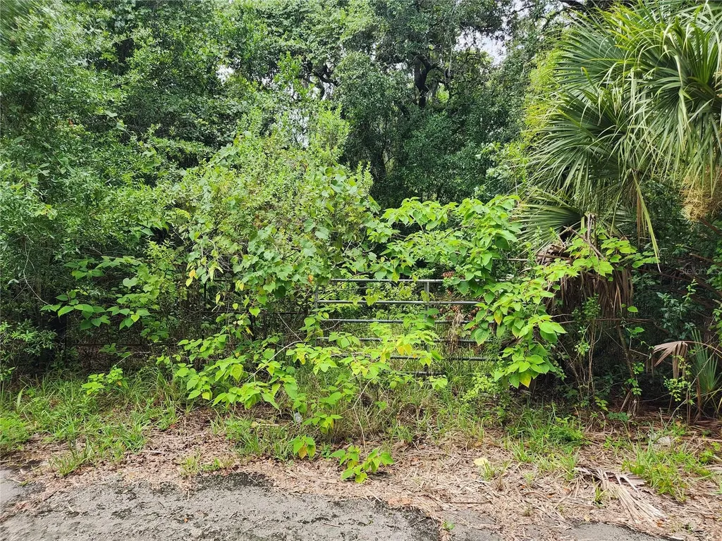 00 Oak Drive Hudson FL 34669