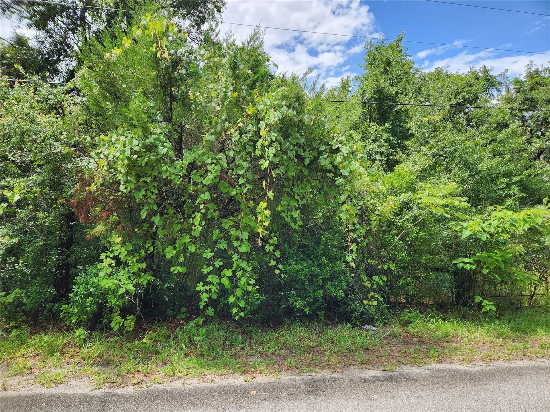 00 Oak Drive Hudson FL 34669