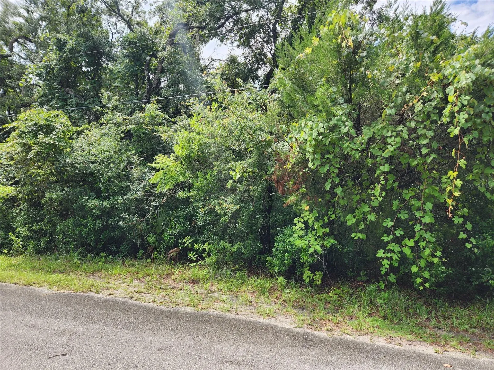 00 Oak Drive Hudson FL 34669