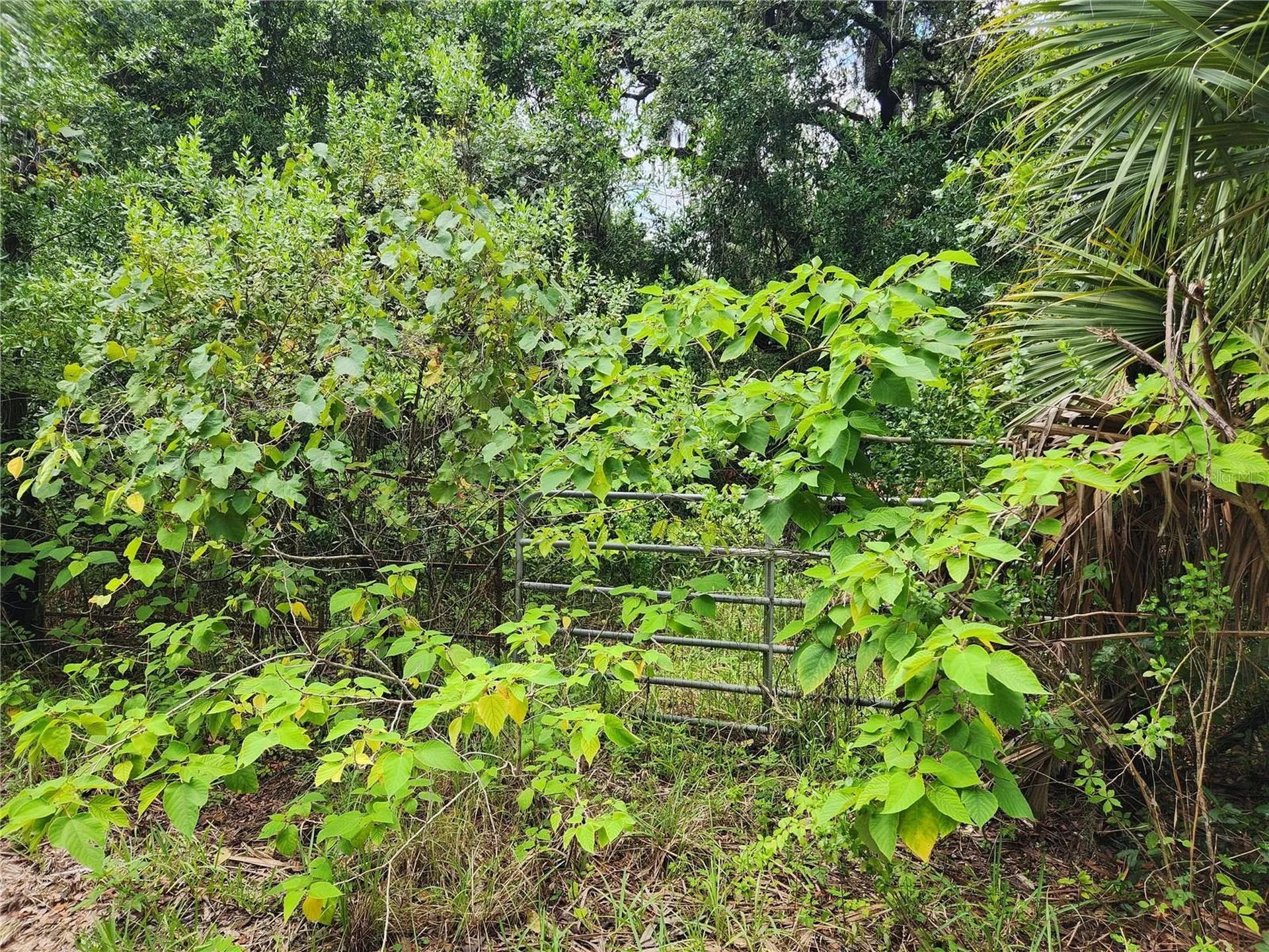 00 Oak Drive Hudson FL 34669