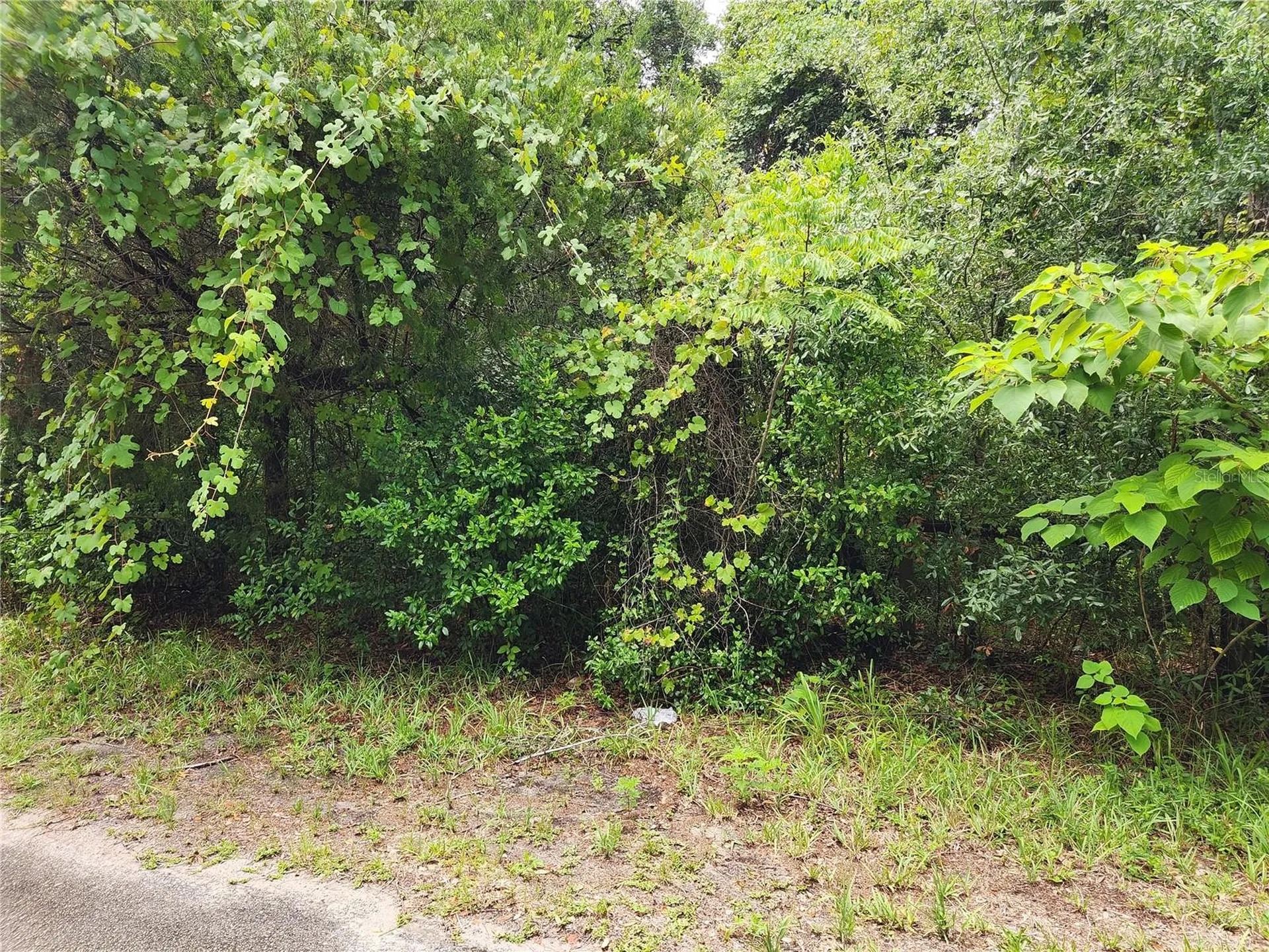 00 Oak Drive Hudson FL 34669