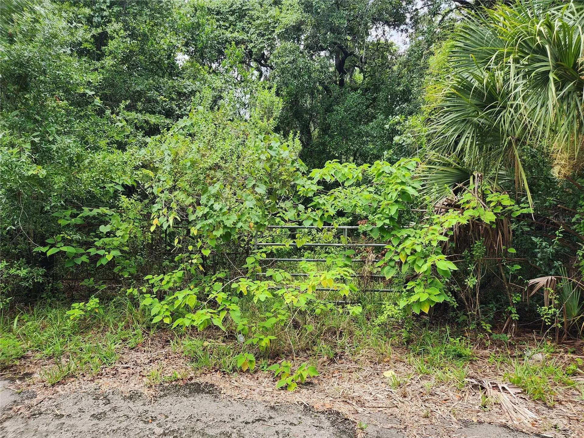00 Oak Drive Hudson FL 34669