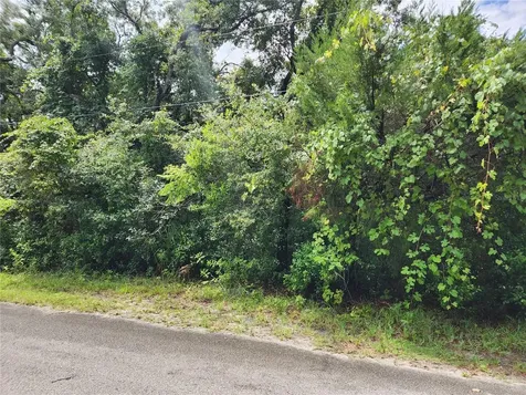 00 Oak Drive Hudson FL 34669