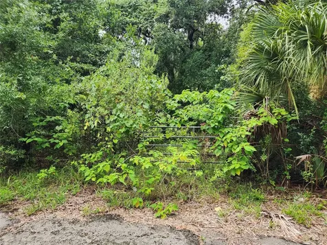00 Oak Drive Hudson FL 34669