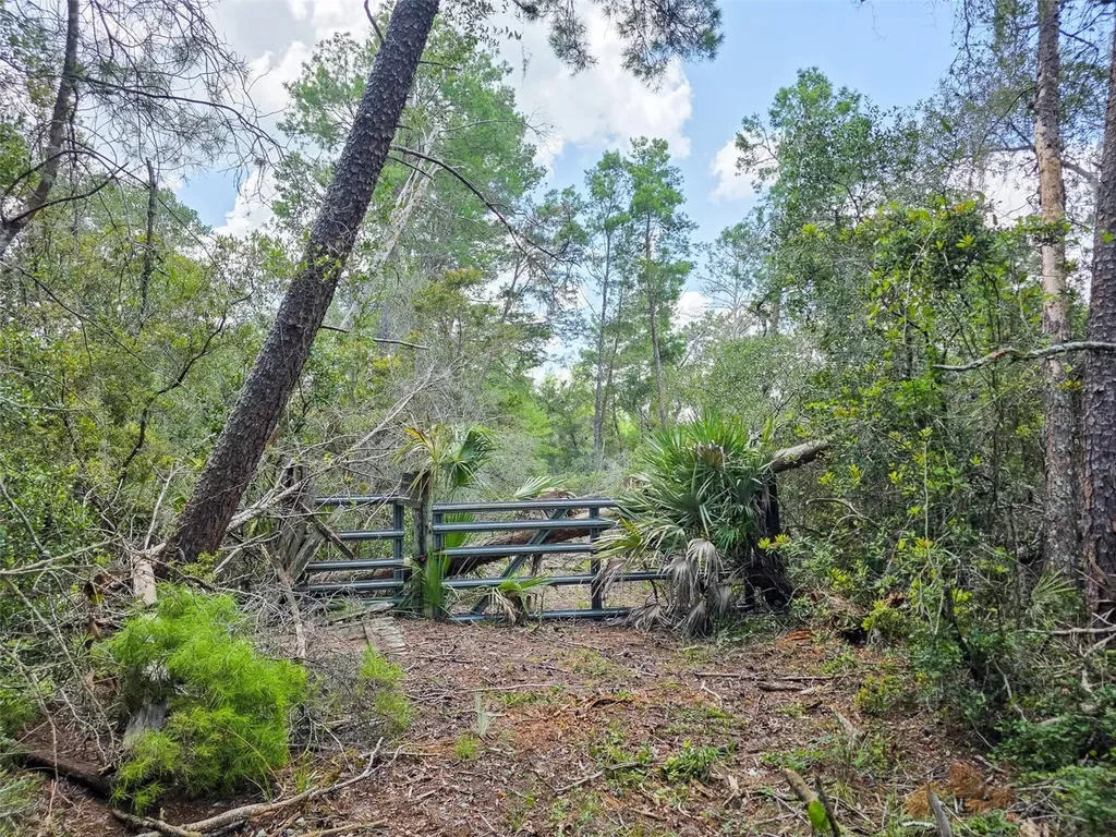 340 Sand Pine Place Geneva FL 32732
