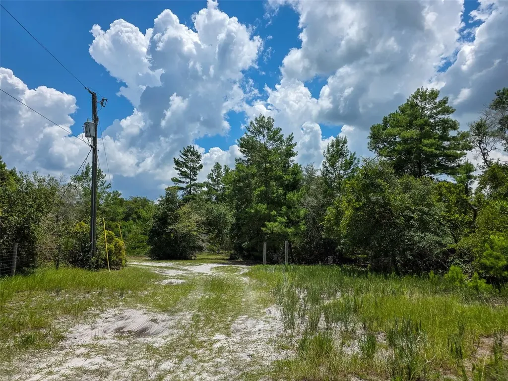 340 Sand Pine Place Geneva FL 32732