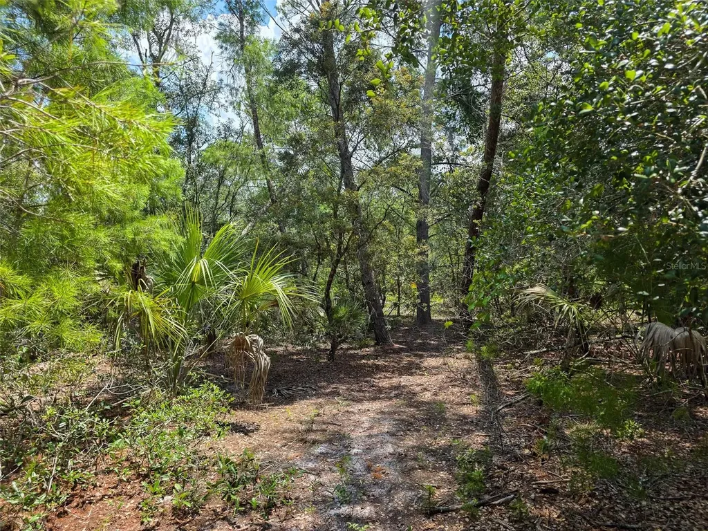 340 Sand Pine Place Geneva FL 32732