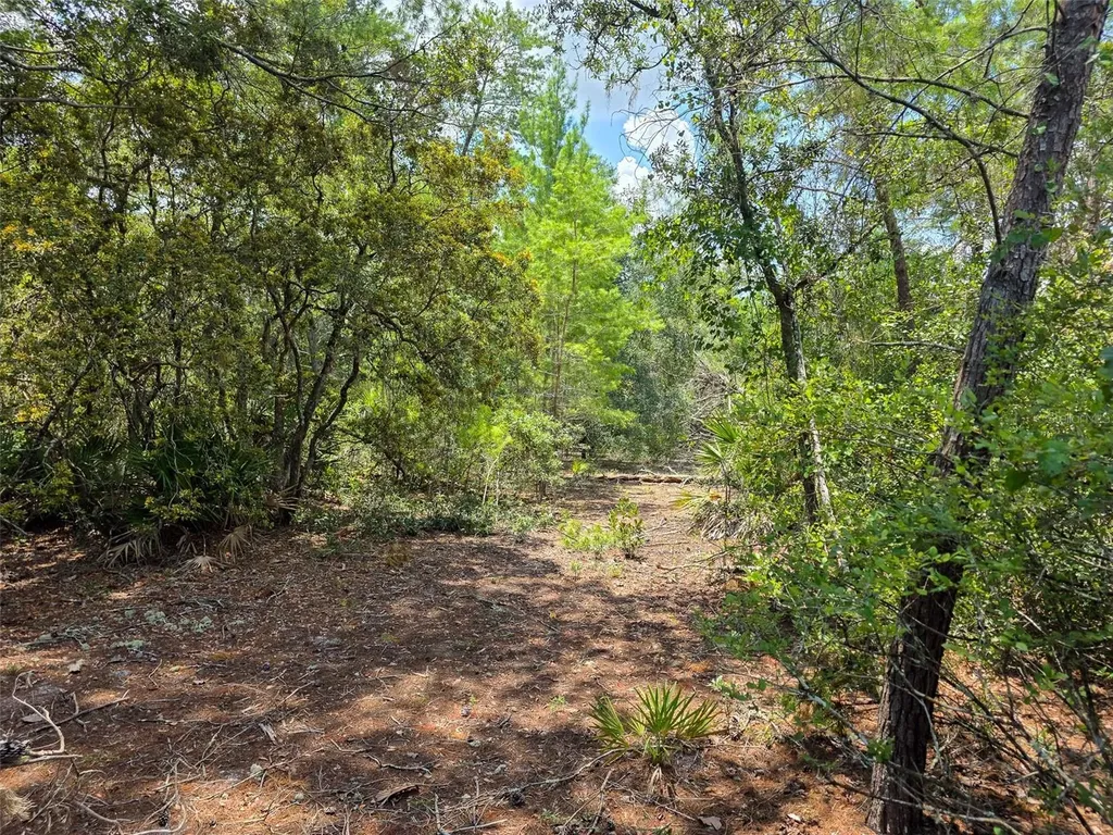 340 Sand Pine Place Geneva FL 32732
