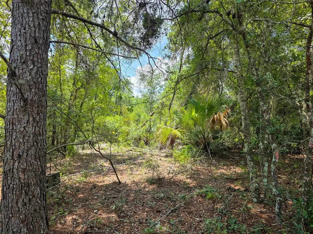 340 Sand Pine Place Geneva FL 32732