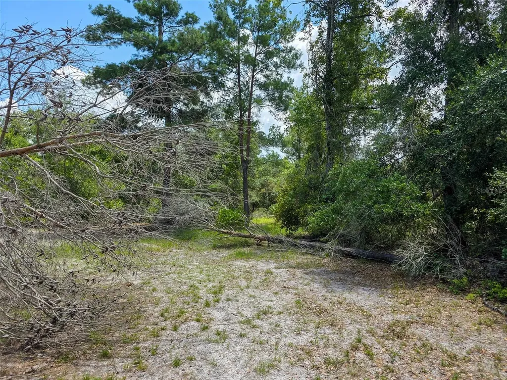 340 Sand Pine Place Geneva FL 32732
