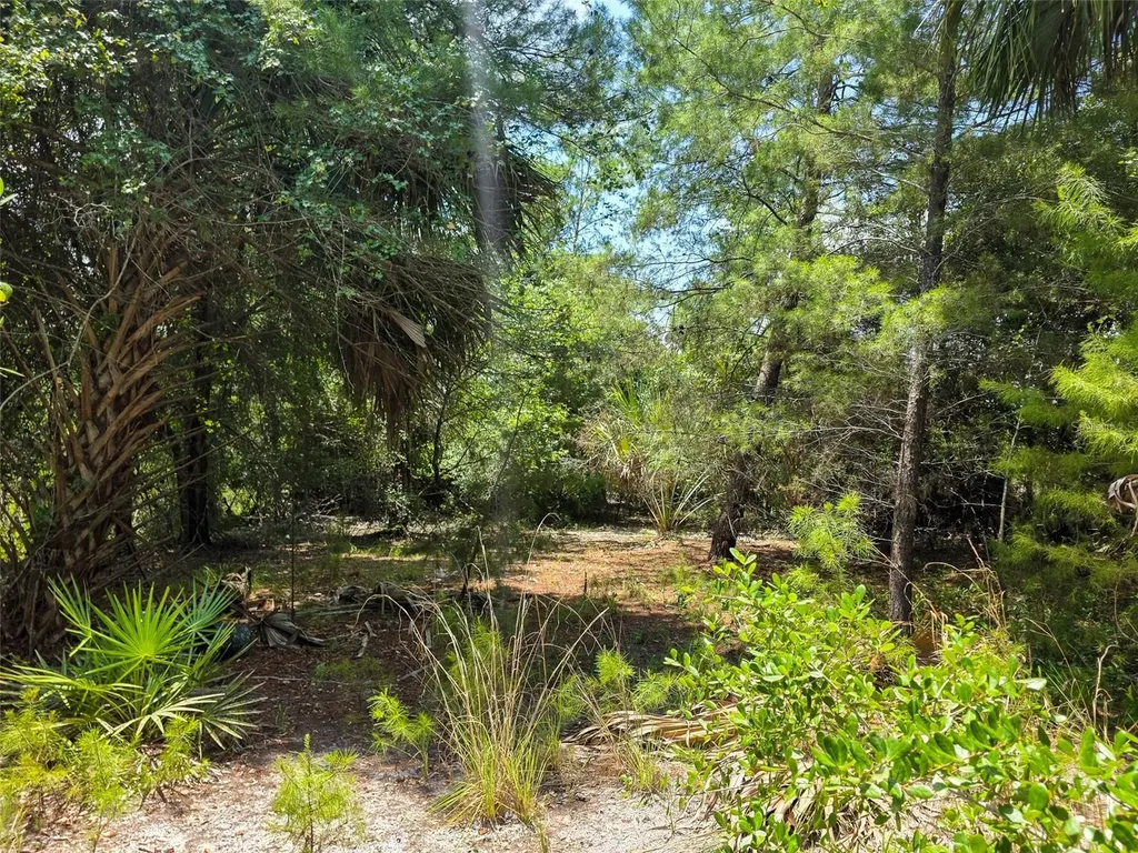 340 Sand Pine Place Geneva FL 32732