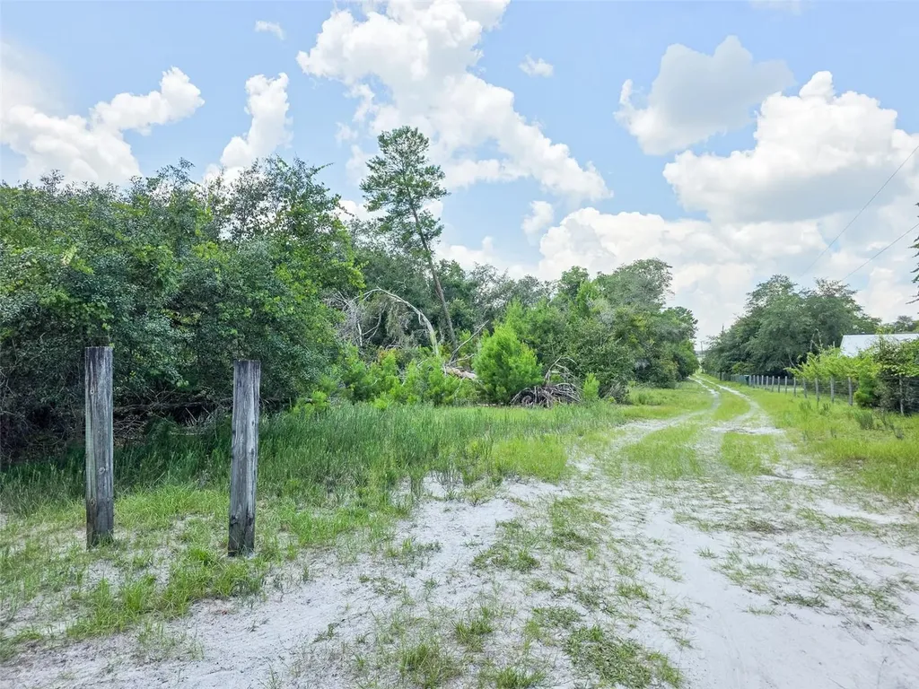 340 Sand Pine Place Geneva FL 32732