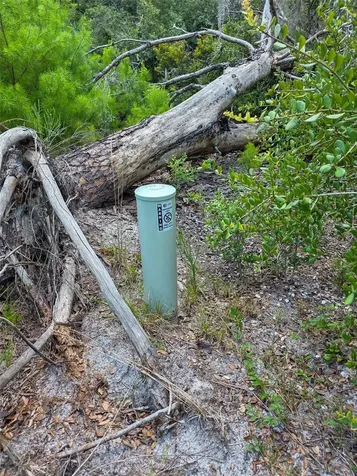 340 Sand Pine Place Geneva FL 32732