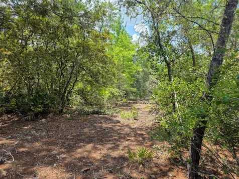340 Sand Pine Place Geneva FL 32732