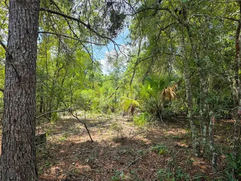 340 Sand Pine Place Geneva FL 32732