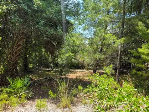 340 Sand Pine Place Geneva FL 32732