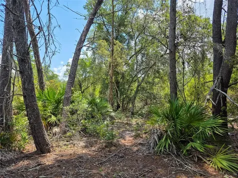340 Sand Pine Place Geneva FL 32732
