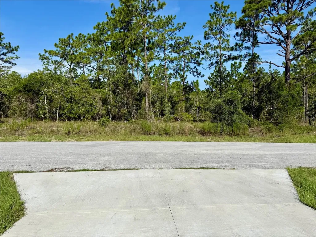 3039 SW Viburnum Road Dunnellon FL 34431